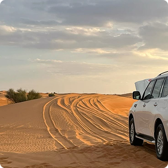 النشاط الرملي